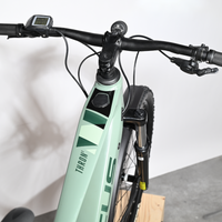 Focus Thron 6.8 EQ | 2021 - L - 11380KM