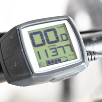 Focus Thron 6.8 EQ | 2021 - L - 11380KM