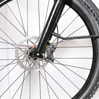 Focus Thron 6.8 EQ | 2021 - L - 11380KM