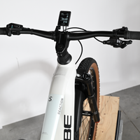 Cube Reaction Hybrid SLT | 2025 - S - 215KM