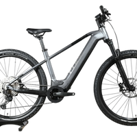 Cube Reaction Hybrid Race 750 | 2024 - L - 282KM