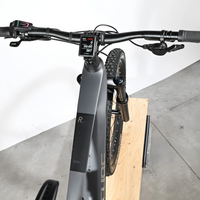 Cube Stereo Hybrid 140 HPC Race | 2024 - S - 388KM