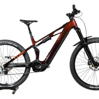 Cube Stereo Hybrid ONE77 HPC Race 800 | 2025 - L - 1KM