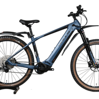 Bulls Copperhead Evo 2 | 2024 - M - 197KM