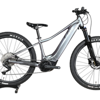 Giant Liv Vall E+2 | 2025 - XS - 734KM