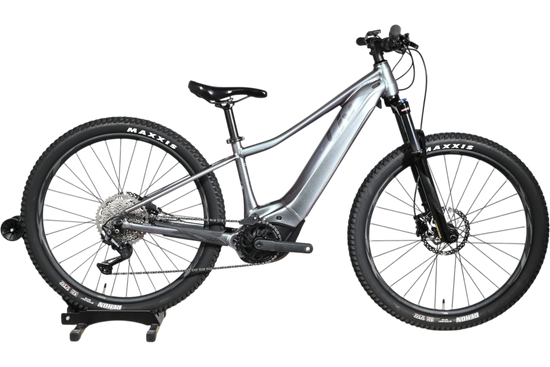Giant Liv Vall E+2 | 2025 - XS - 734KM