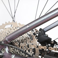 Giant Liv Vall E+2 | 2025 - XS - 734KM