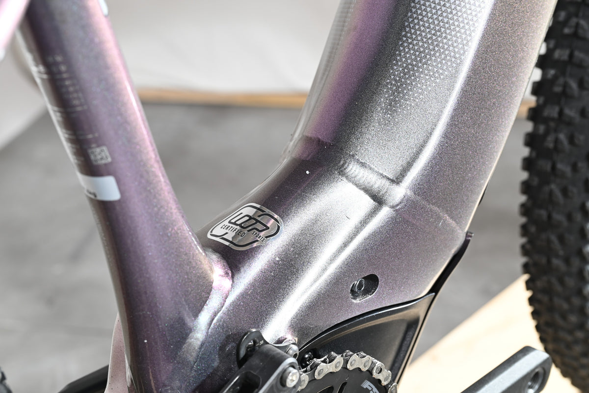 Giant Liv Vall E+2 | 2025 - XS - 734KM