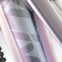 Giant Liv Vall E+2 | 2025 - XS - 734KM