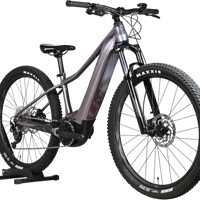 Giant Liv Vall E+2 | 2025 - XS - 734KM