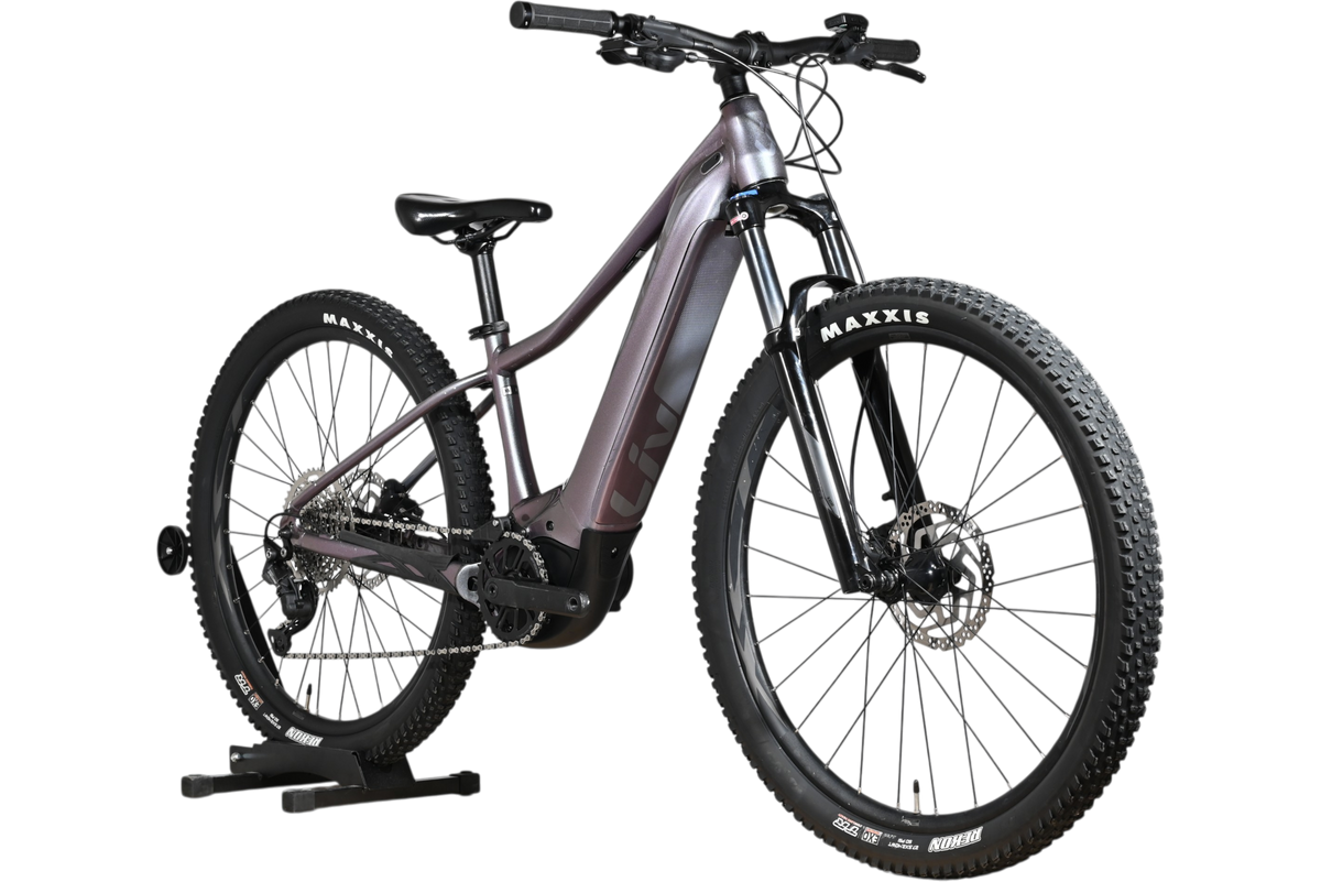 Giant Liv Vall E+2 | 2025 - XS - 734KM
