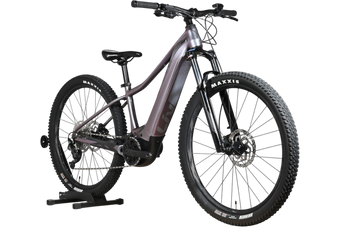 Giant Liv Vall E+2 | 2025 - XS - 734KM