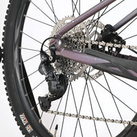 Giant Liv Vall E+2 | 2025 - XS - 734KM