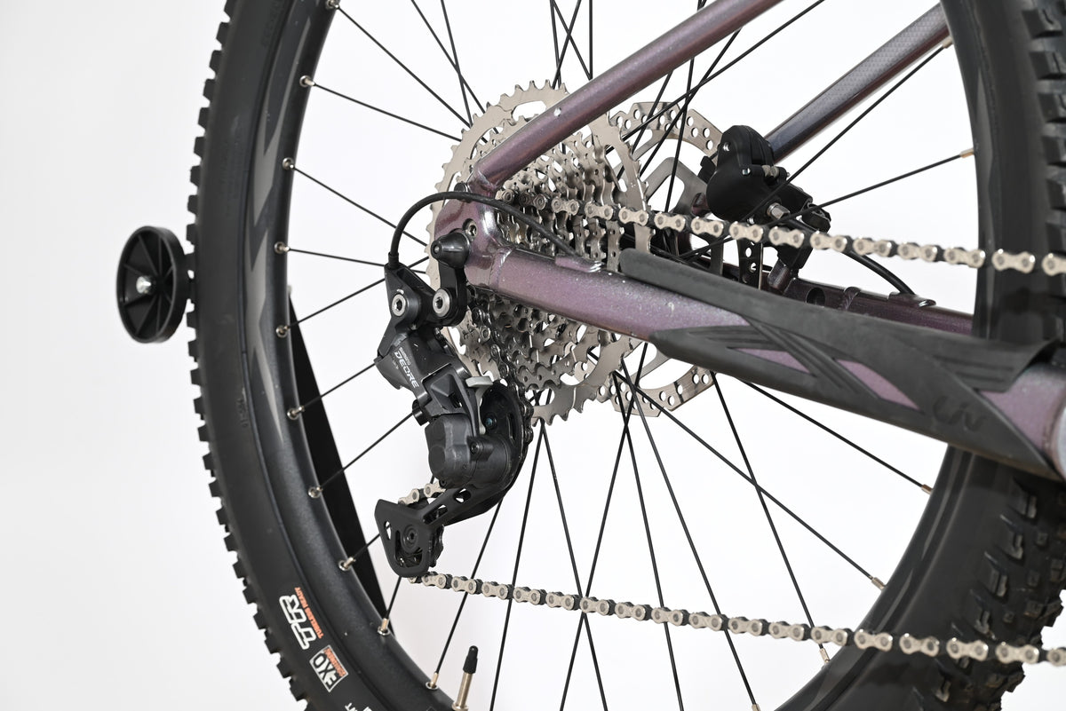 Giant Liv Vall E+2 | 2025 - XS - 734KM