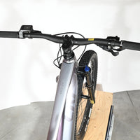 Giant Liv Vall E+2 | 2025 - XS - 734KM