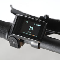 Giant Liv Vall E+2 | 2025 - XS - 734KM