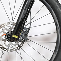 Giant Liv Vall E+2 | 2025 - XS - 734KM