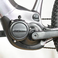 Giant Liv Vall E+2 | 2025 - XS - 734KM