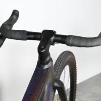 Rose Backroad GRX Limited | 2024 - 53CM