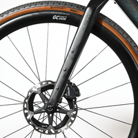 Rose Backroad GRX Limited | 2024 - 53CM