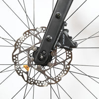 Focus Atlas 6.8 | 2024 - M