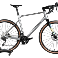 Bergamont Grandurance Expert | 2024 - L