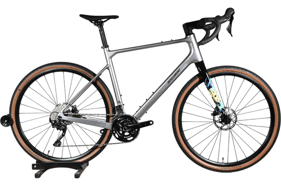 Bergamont Grandurance Expert | 2024 - L