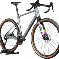 Bergamont Grandurance Expert | 2025 - M