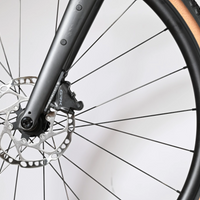 Specialized Diverge Sport Carbon | 2024 - 56CM
