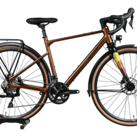 Bergamont Grandurance RD 7 | 2024 - 52CM