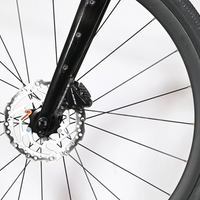 Polygon Path X5 | 2024 - L