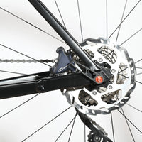 Rose Reveal AL | 2024 - 57CM