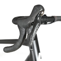 Rose Reveal AL | 2024 - 57CM