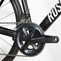 Rose Reveal AL | 2024 - 57CM