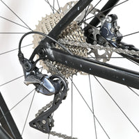 Rose Reveal AL | 2024 - 57CM