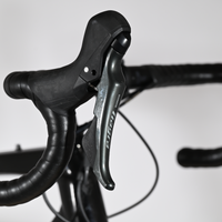 Trek Domane AL4 Disc | 2023 - 54CM