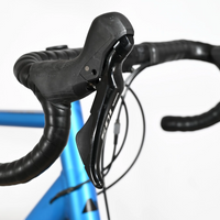 Canyon Endurace AL Disc 7.0 | 2021 - L