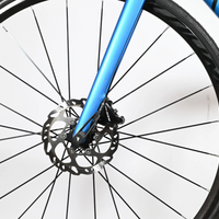 Canyon Endurace AL Disc 7.0 | 2021 - L