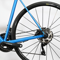 Canyon Endurace AL Disc 7.0 | 2021 - L