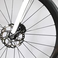Giant Defy Advanced Pro 1 | 2024 - M