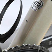 Canyon Endurace CF SLX 7 Di2 | 2025 - M