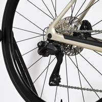 Canyon Endurace CF SLX 7 Di2 | 2025 - M