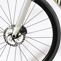 Canyon Endurace CF SLX 7 Di2 | 2025 - M