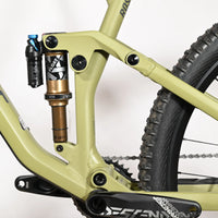 Rose Root Miller 3 | 2023 - M