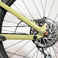 Rose Root Miller 3 | 2023 - M