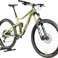 Rose Root Miller 3 | 2023 - M