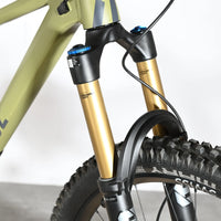 Rose Root Miller 3 | 2023 - M