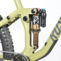 Rose Root Miller 3 | 2023 - M