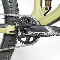 Rose Root Miller 3 | 2023 - M