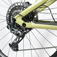 Rose Root Miller 3 | 2023 - M